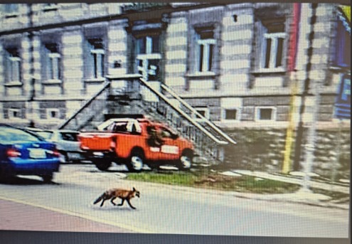 WhatsApp Slika 2023-09-17 u 09.27.38