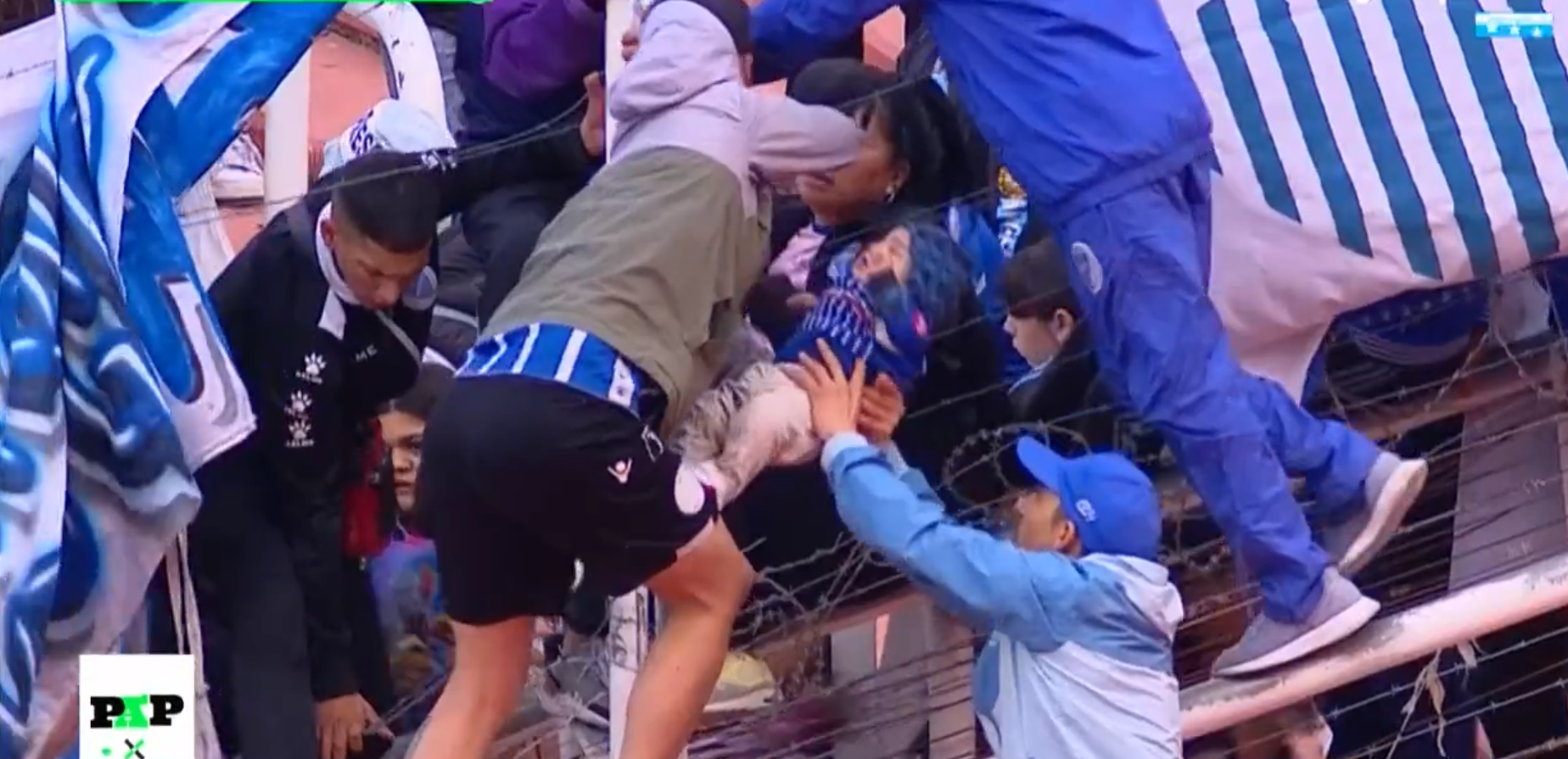 argentina navijaci 2