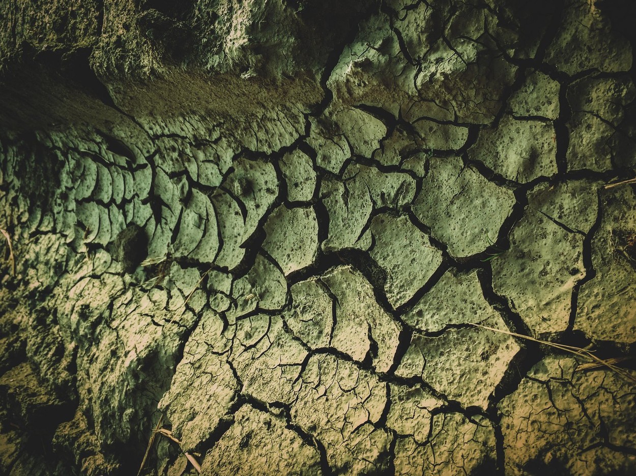 poisoned dead dry soil post apocalypse background.
