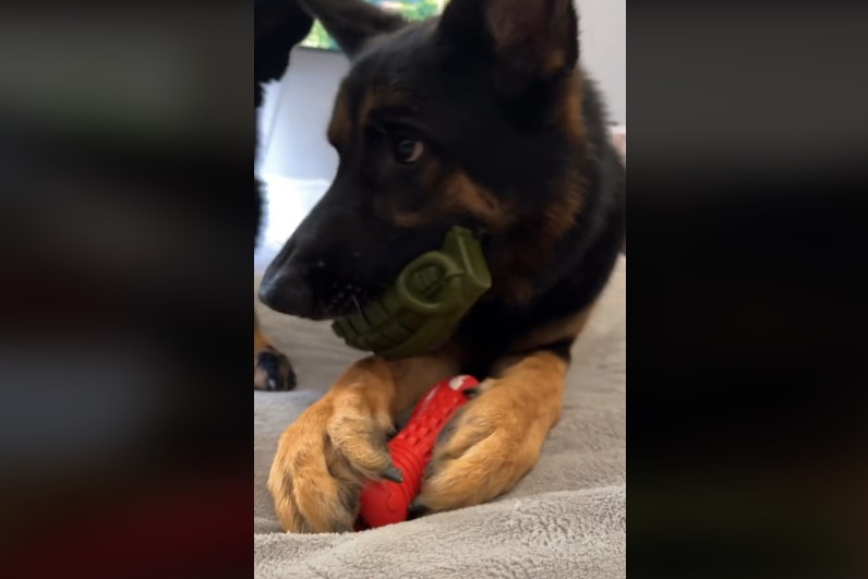 Screenshot 2023-09-26 130005 (1)