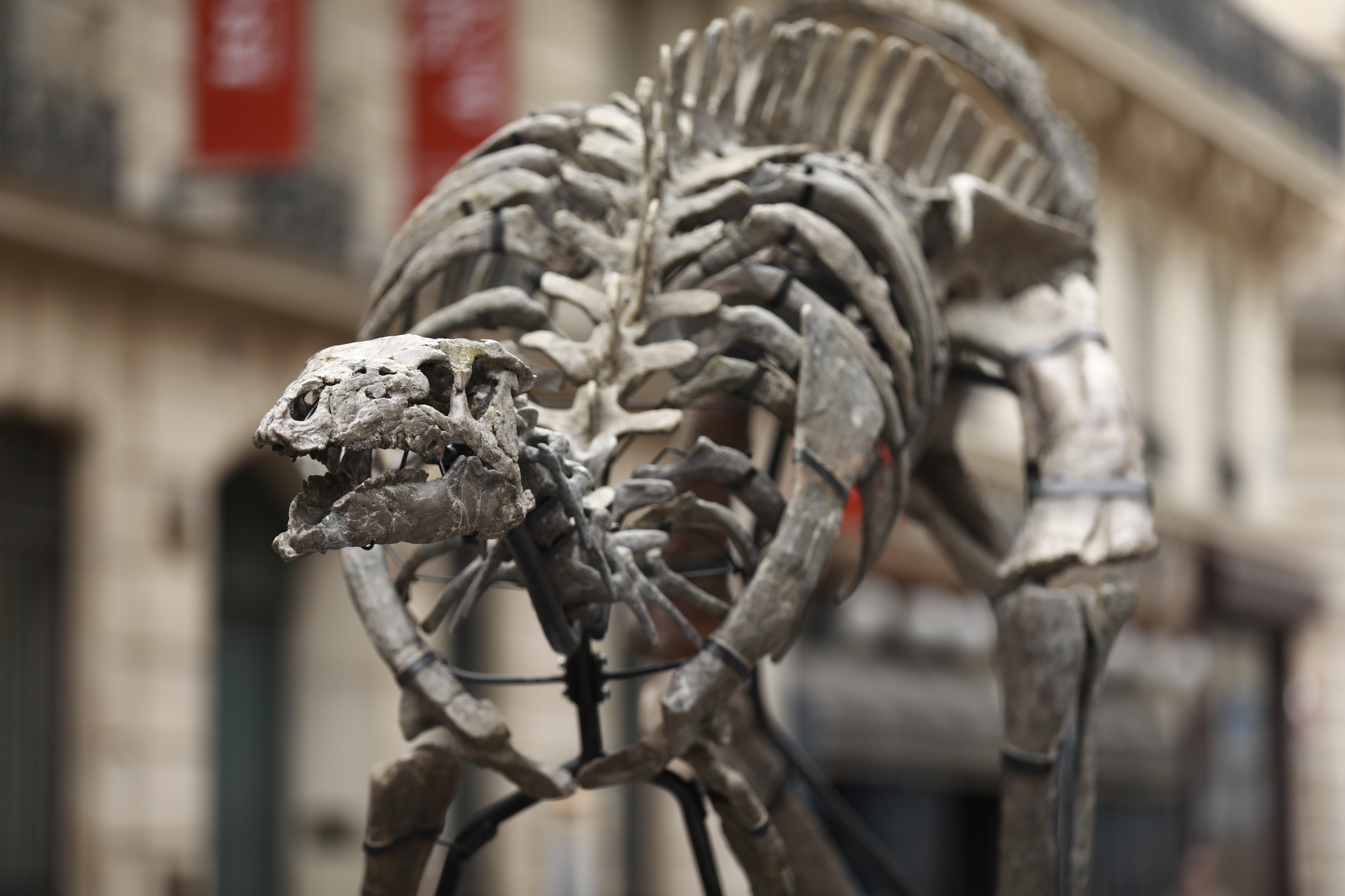 Francuska: Skelet Camptosaurusa "Barry" izložen pred aukciju u Parizu