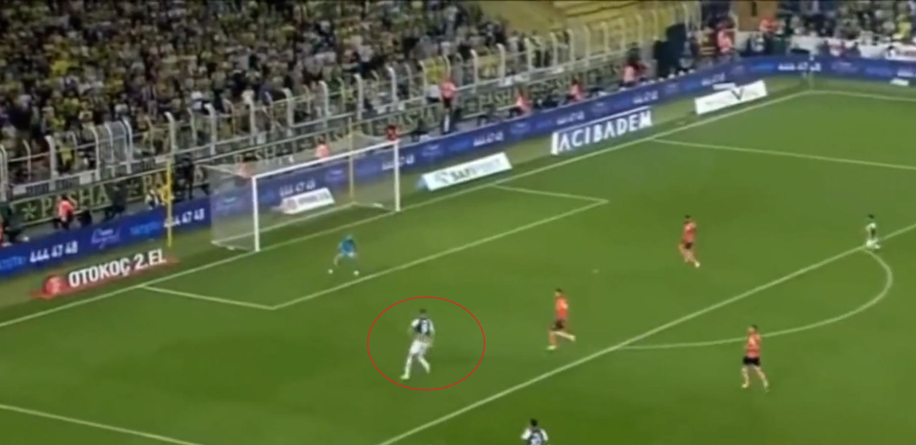 edin dzeko fener basaksheri