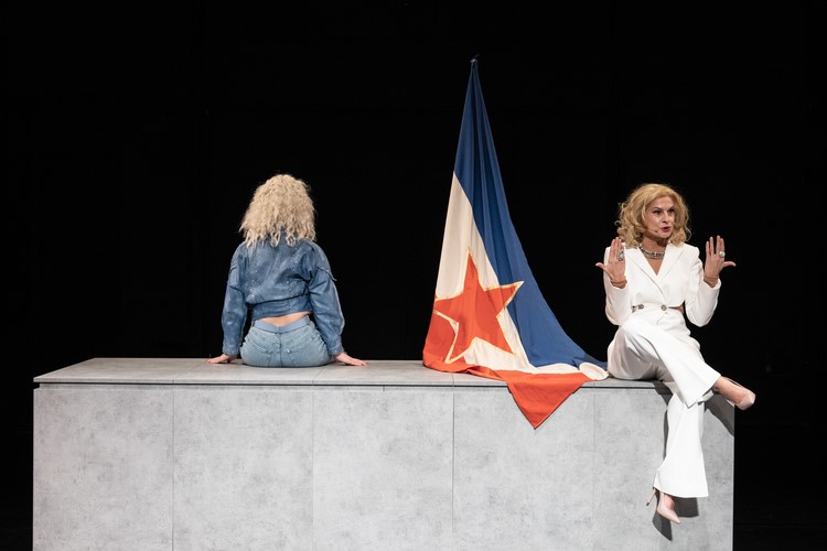 thumbnail_Lepa-Brena-Project-3