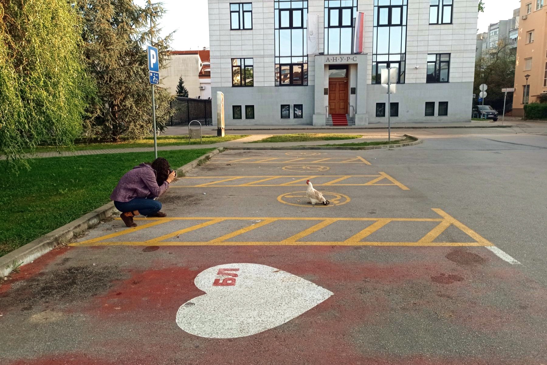 thumbnail_IMG_20231002_122708