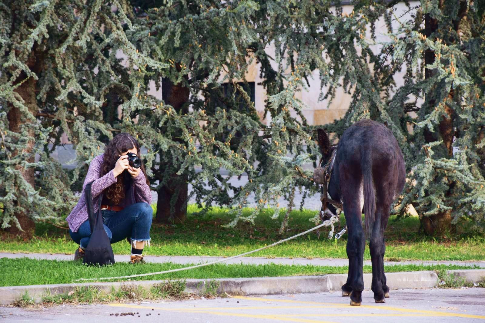 thumbnail_IMG_20231002_121352