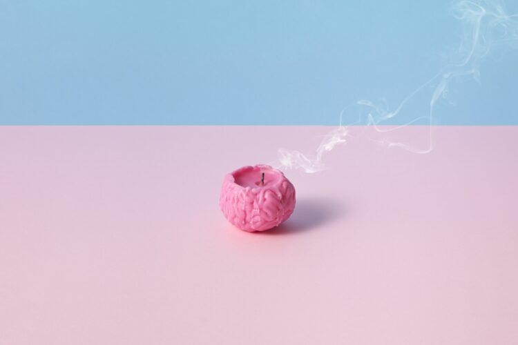 1696265449-pexels-ds-stories-9228383-750x500