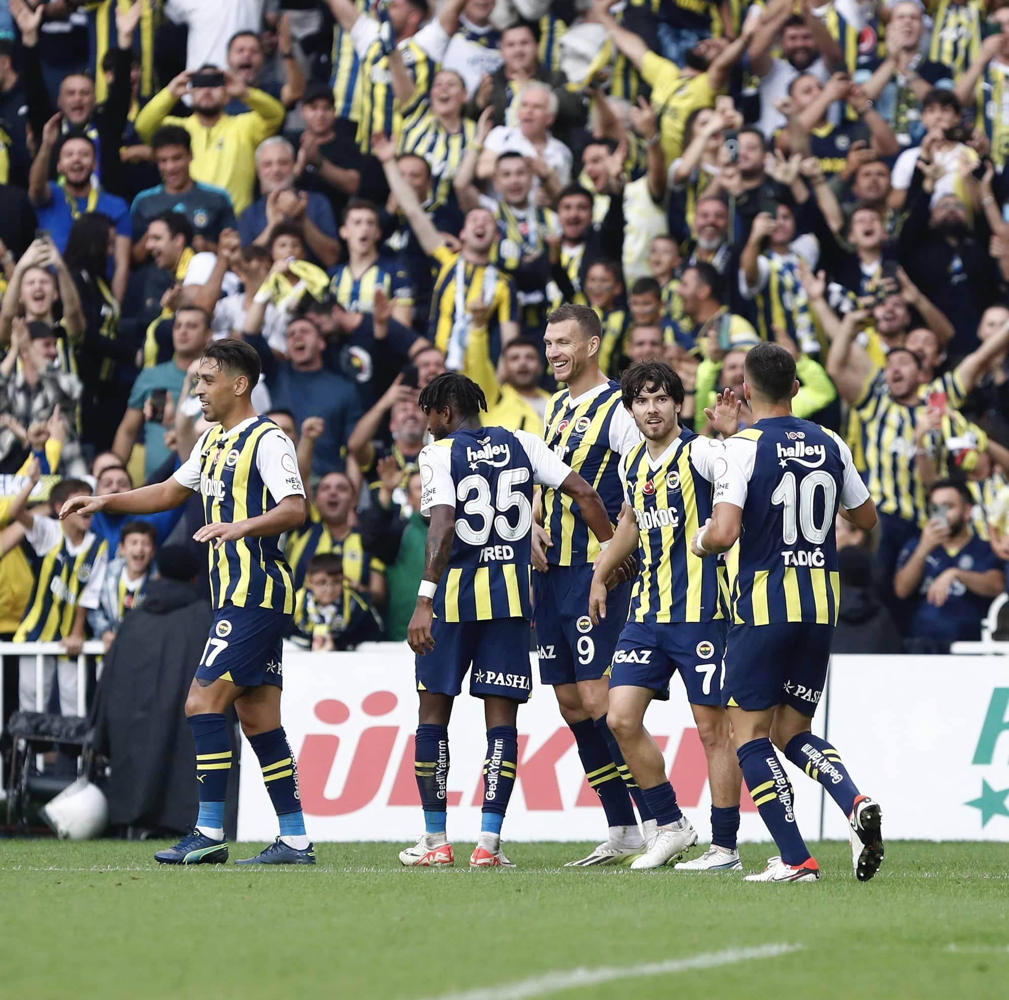 fenerbahce sk dzeko tadic