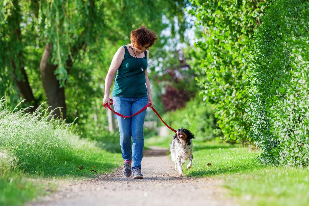 mature woman walking with Brittany dog at the leash on a country path