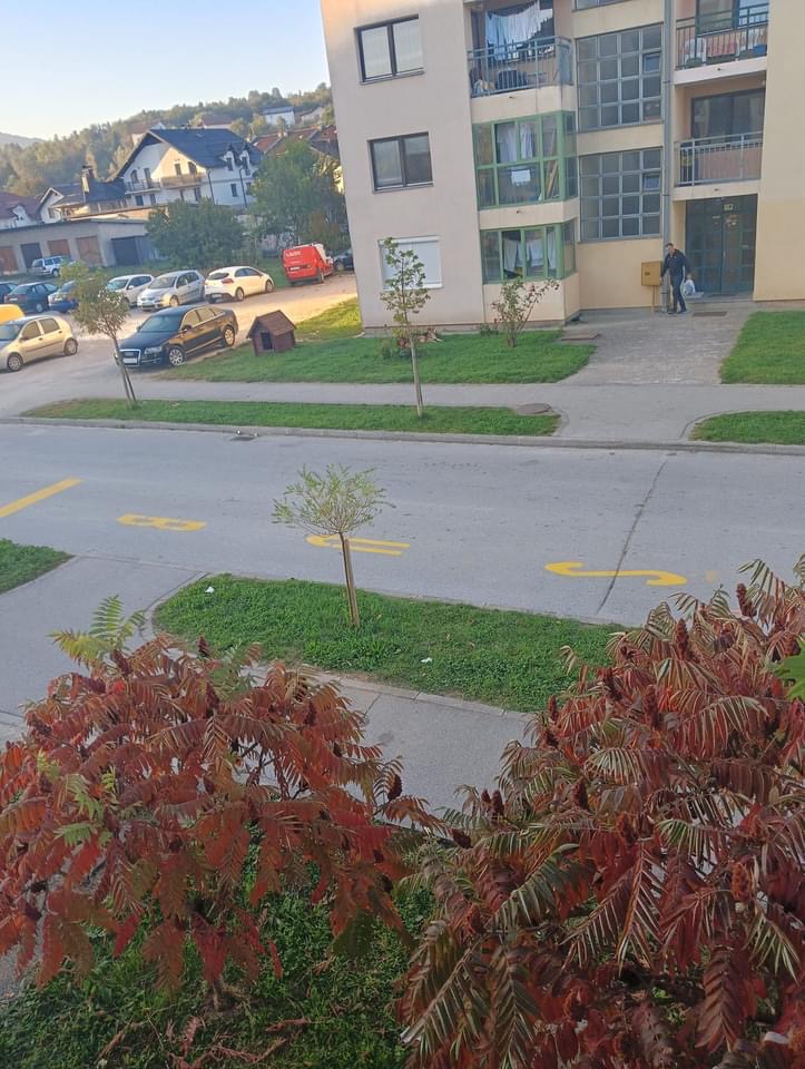 viber_image_2023-10-12_15-01-43-942