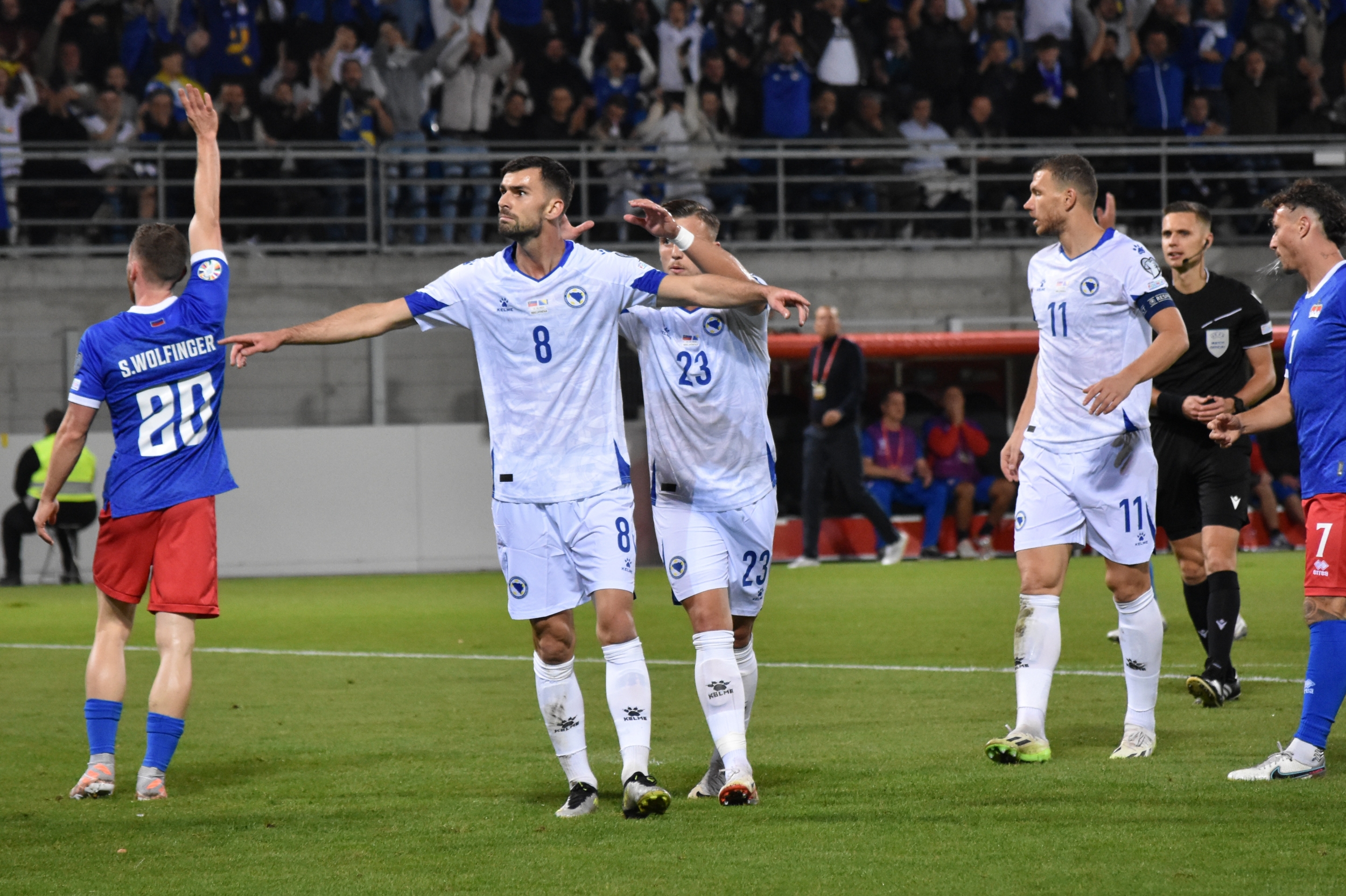 Nogometni savez Bosne i Hercegovine