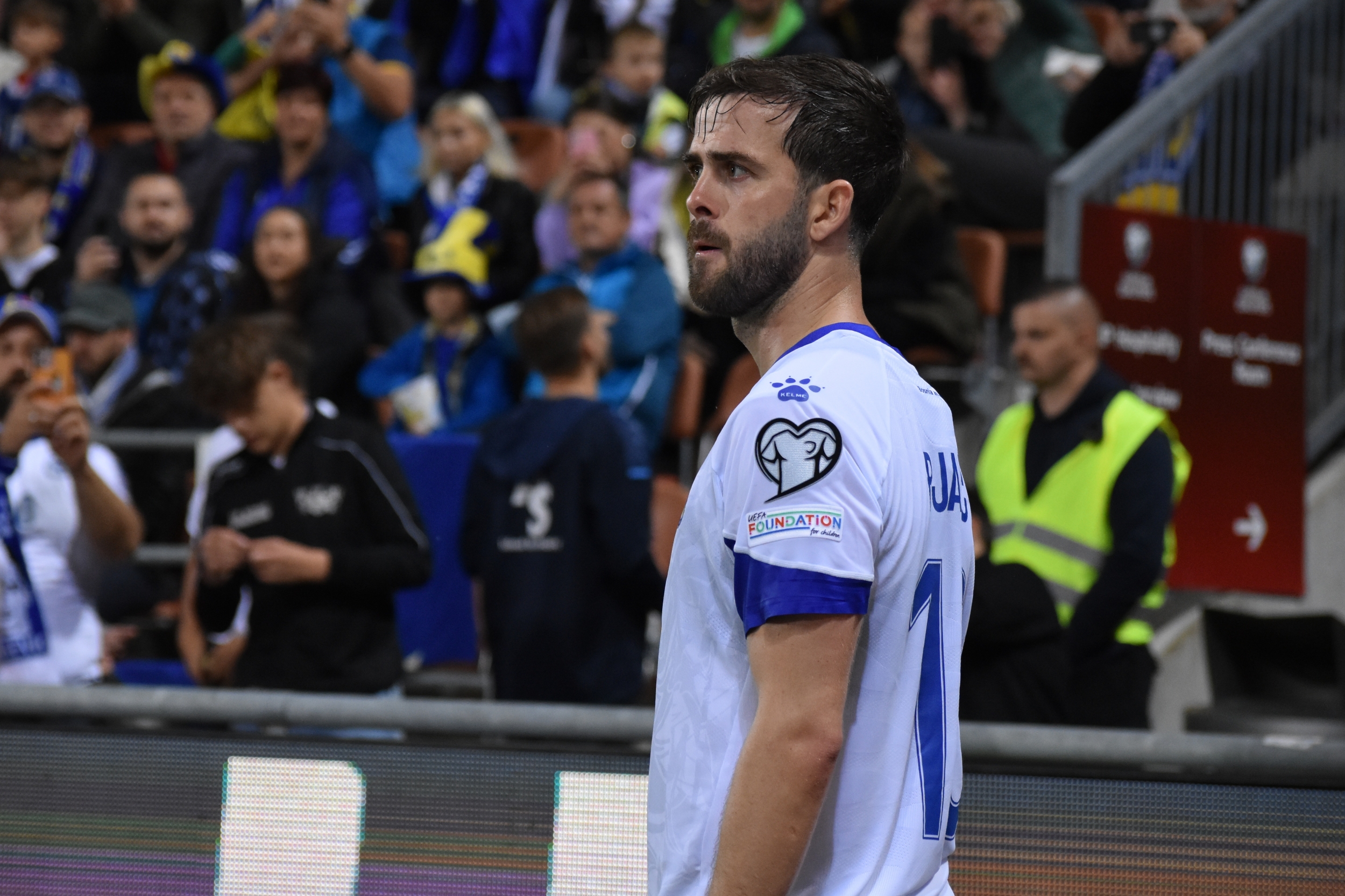 Nogometni savez Bosne i Hercegovine