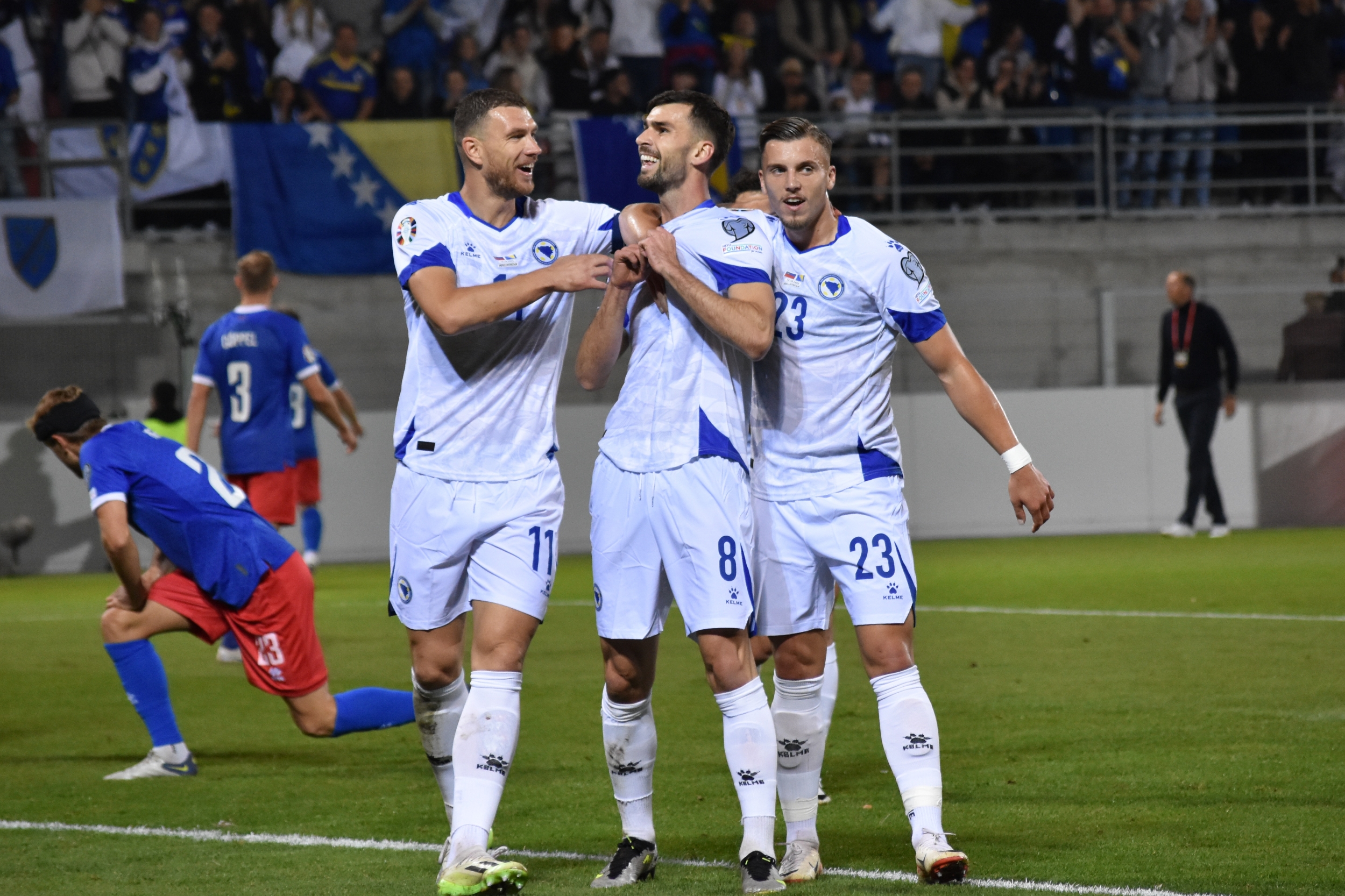 Nogometni savez Bosne i Hercegovine