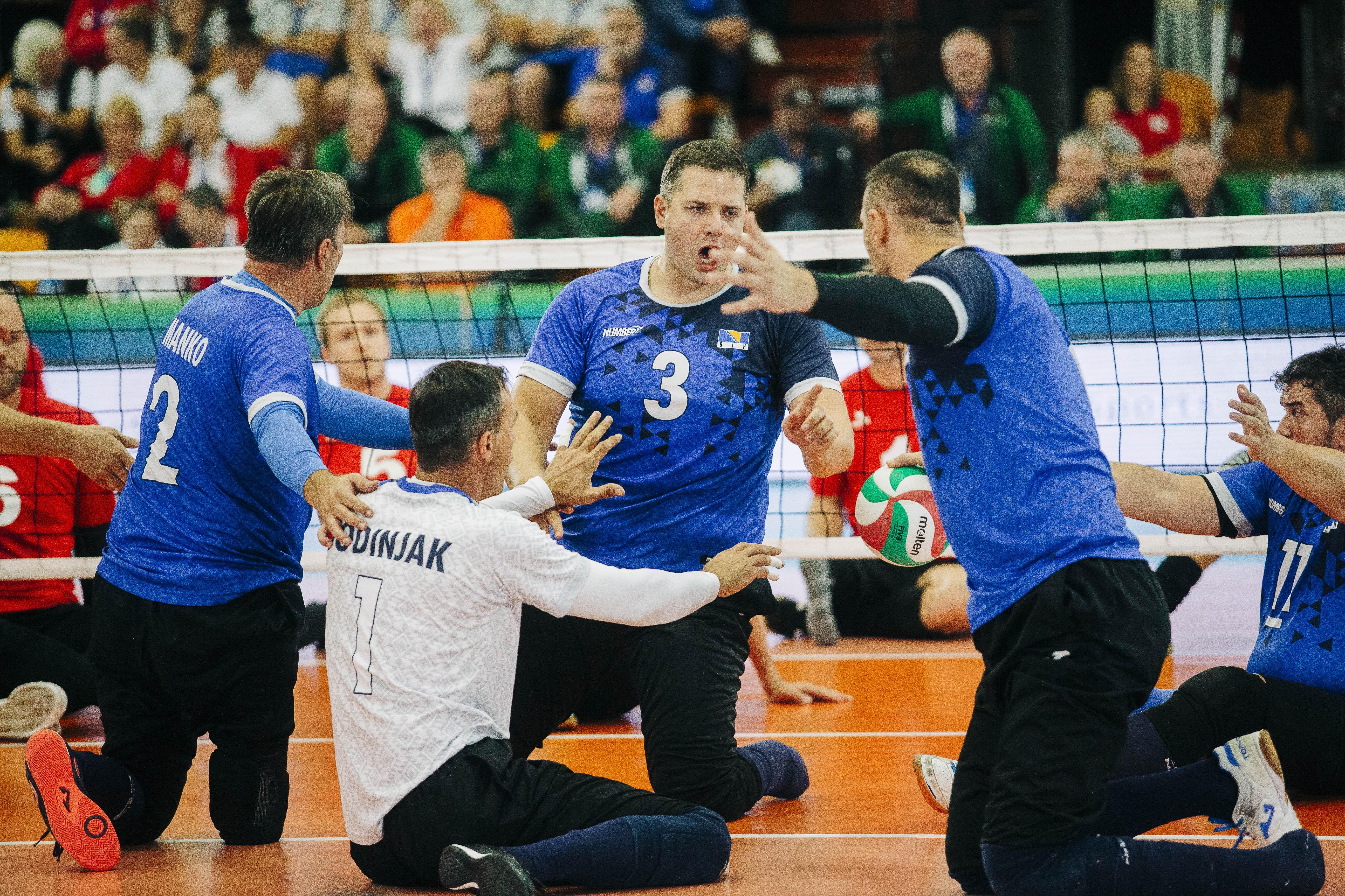 Reprezentacija BiH u sjedećoj odbojci