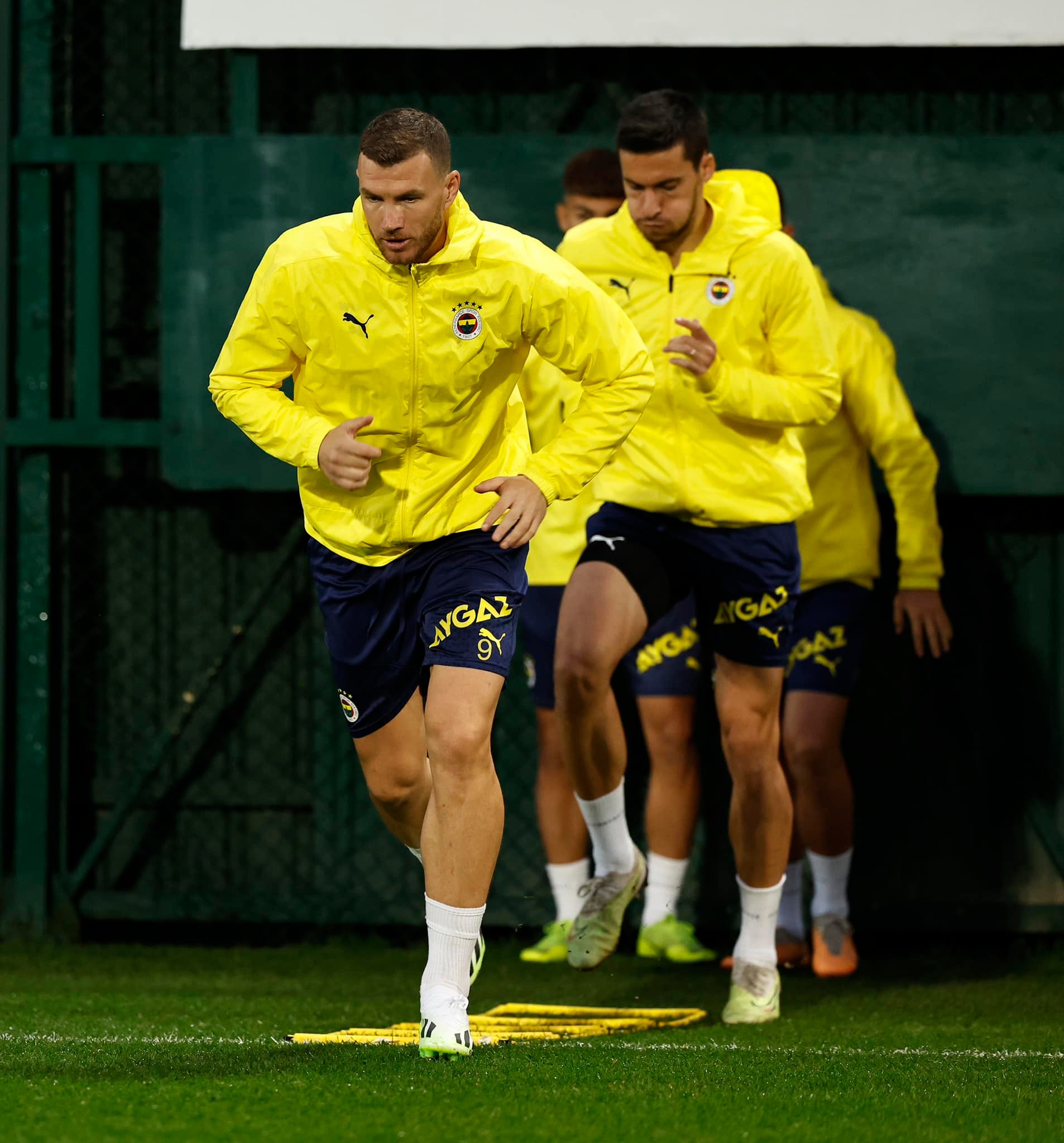 dzeko