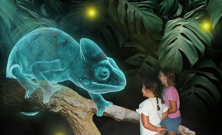 1698087607-1698051542-Foto-Zajem-zaslona-FACEBOOK-Hologram-1-750x455