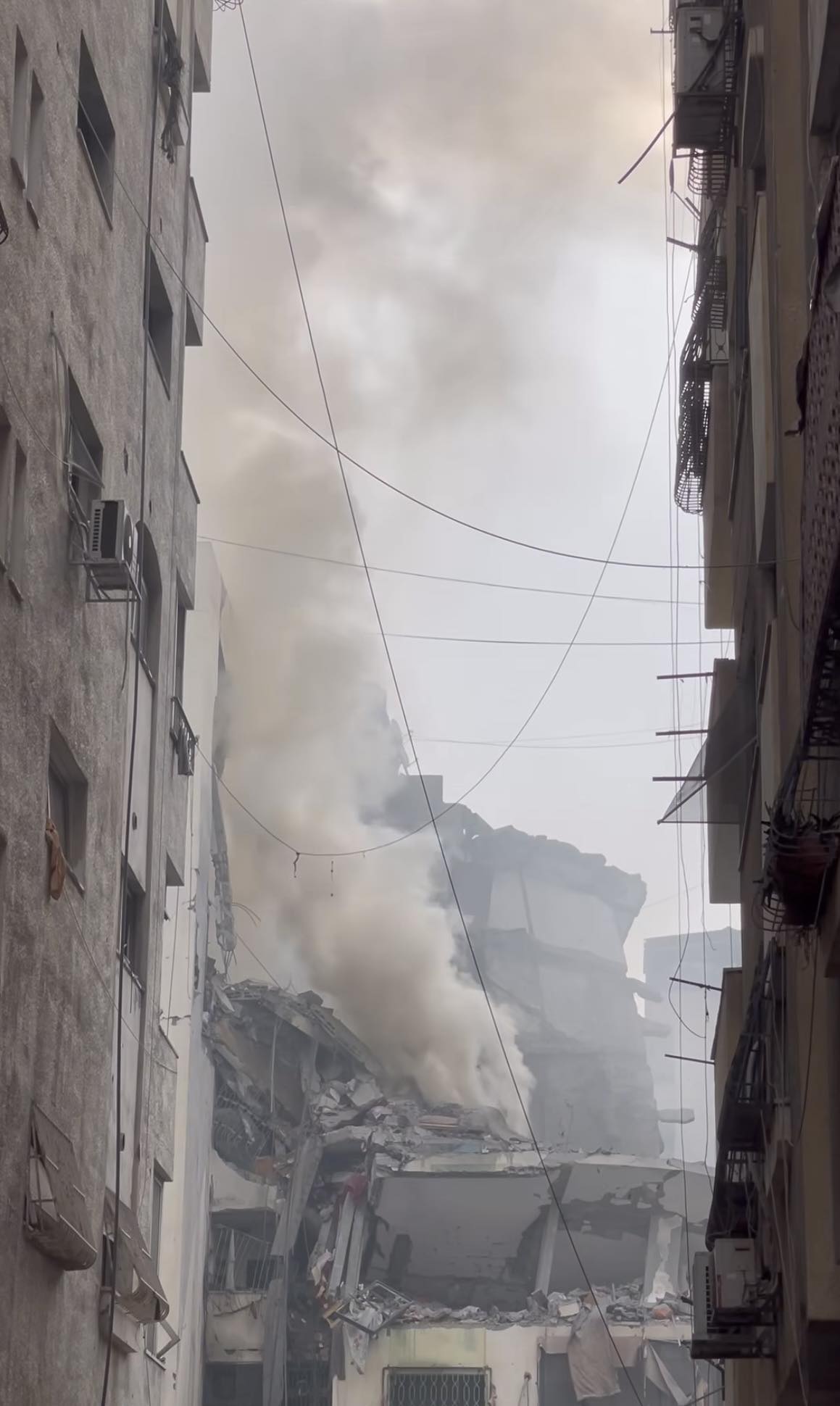 395573245_1493196028113027_8450248957997325886_n (2)