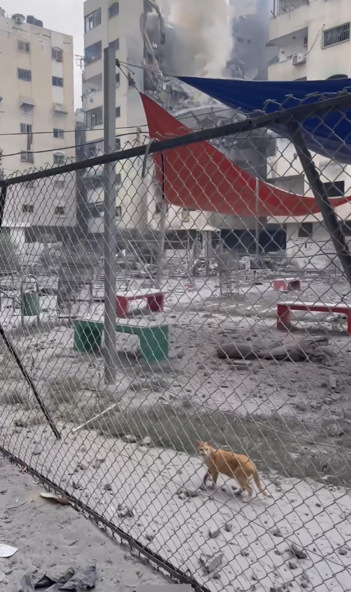 371529731_2048828028797850_1553600923518598707_n (1)