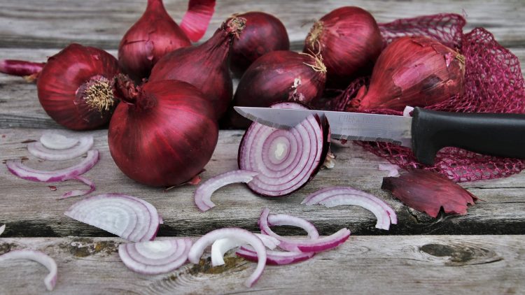 onion-3494914_1920-750x422