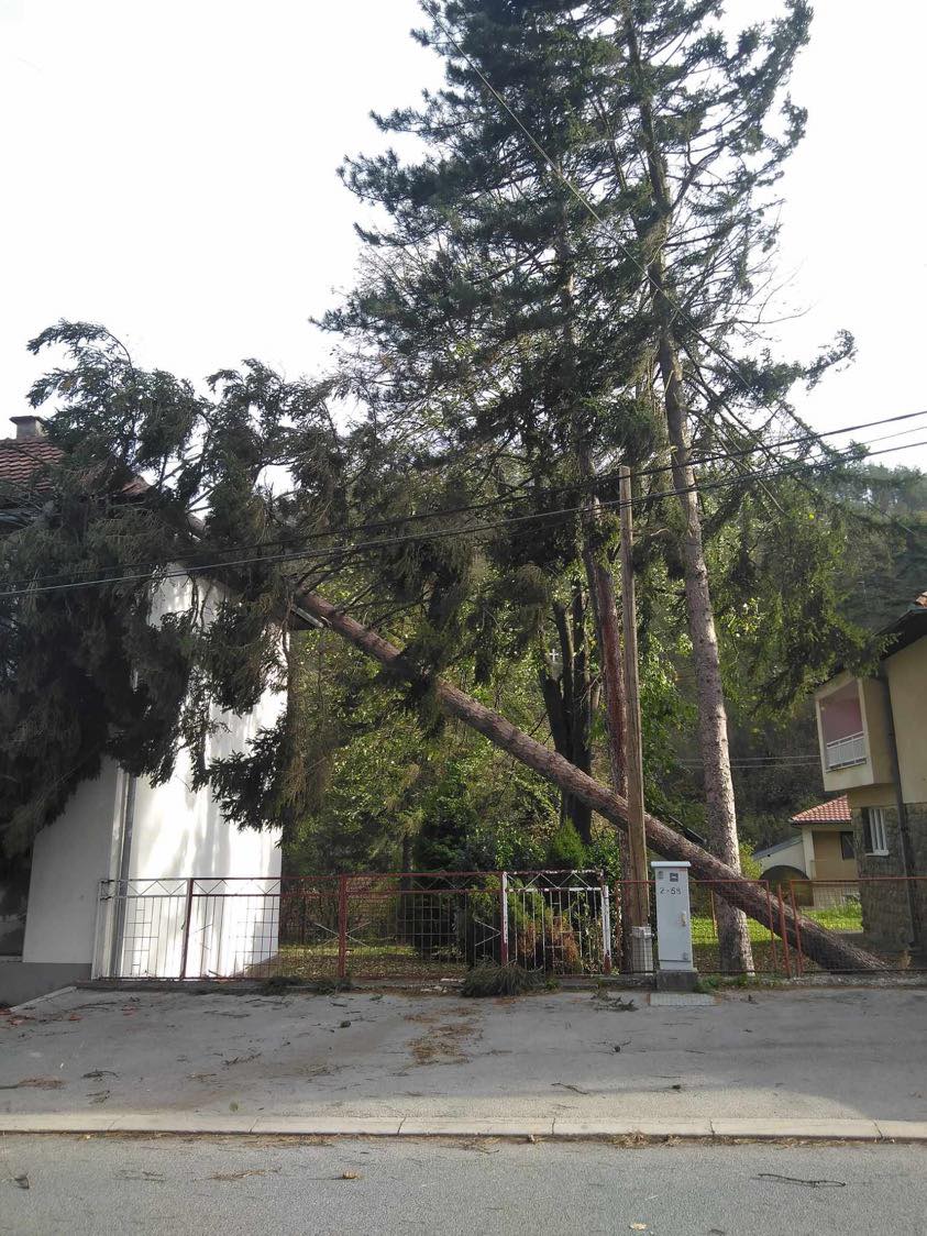 371454161_908750334102764_1654662642151239286_n (1)