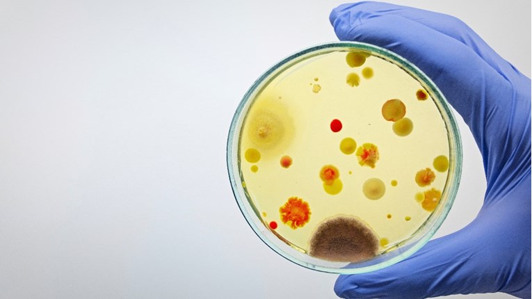 dc2fcffc-6ccc-4f9e-b46e-b0cb72da30e9