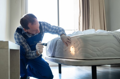 Bed Bug Infestation And Treatment Service
