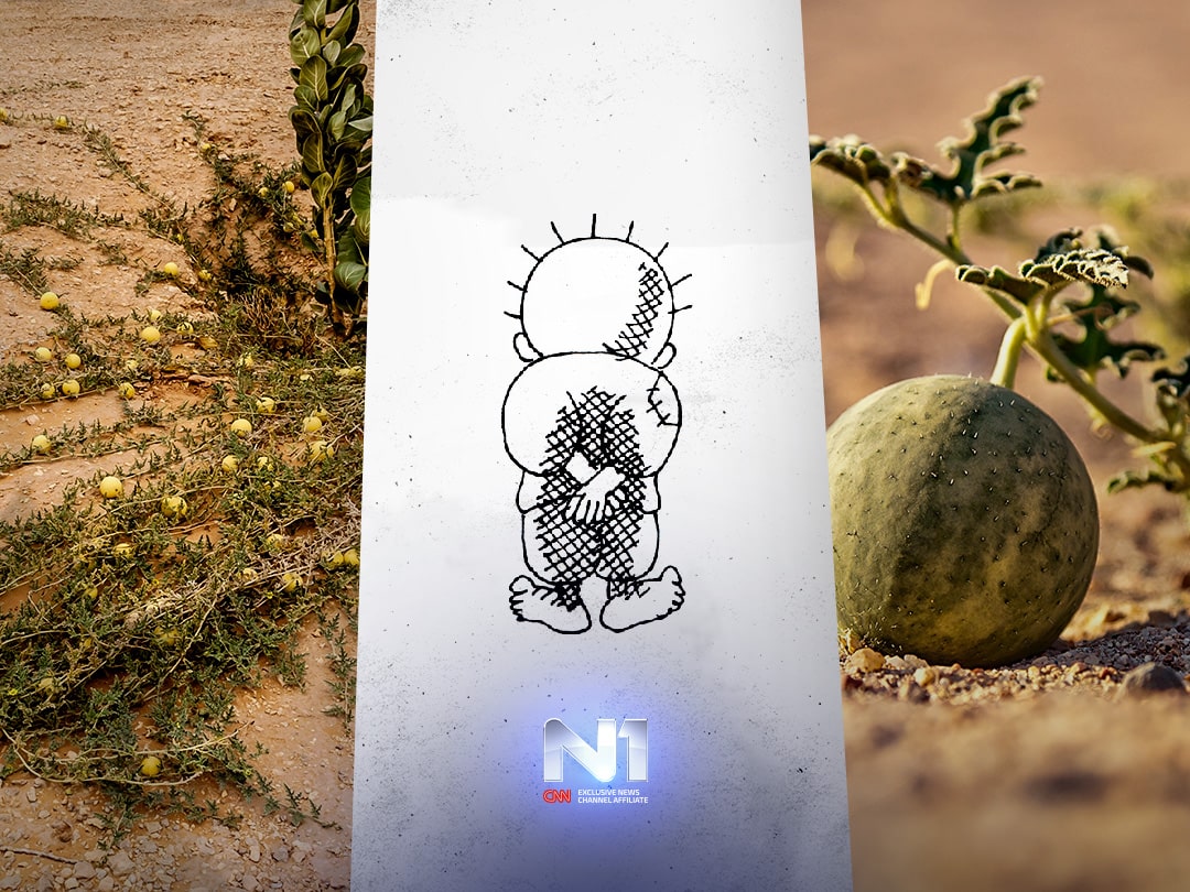 Ilustracija-Vedran-Handala-min