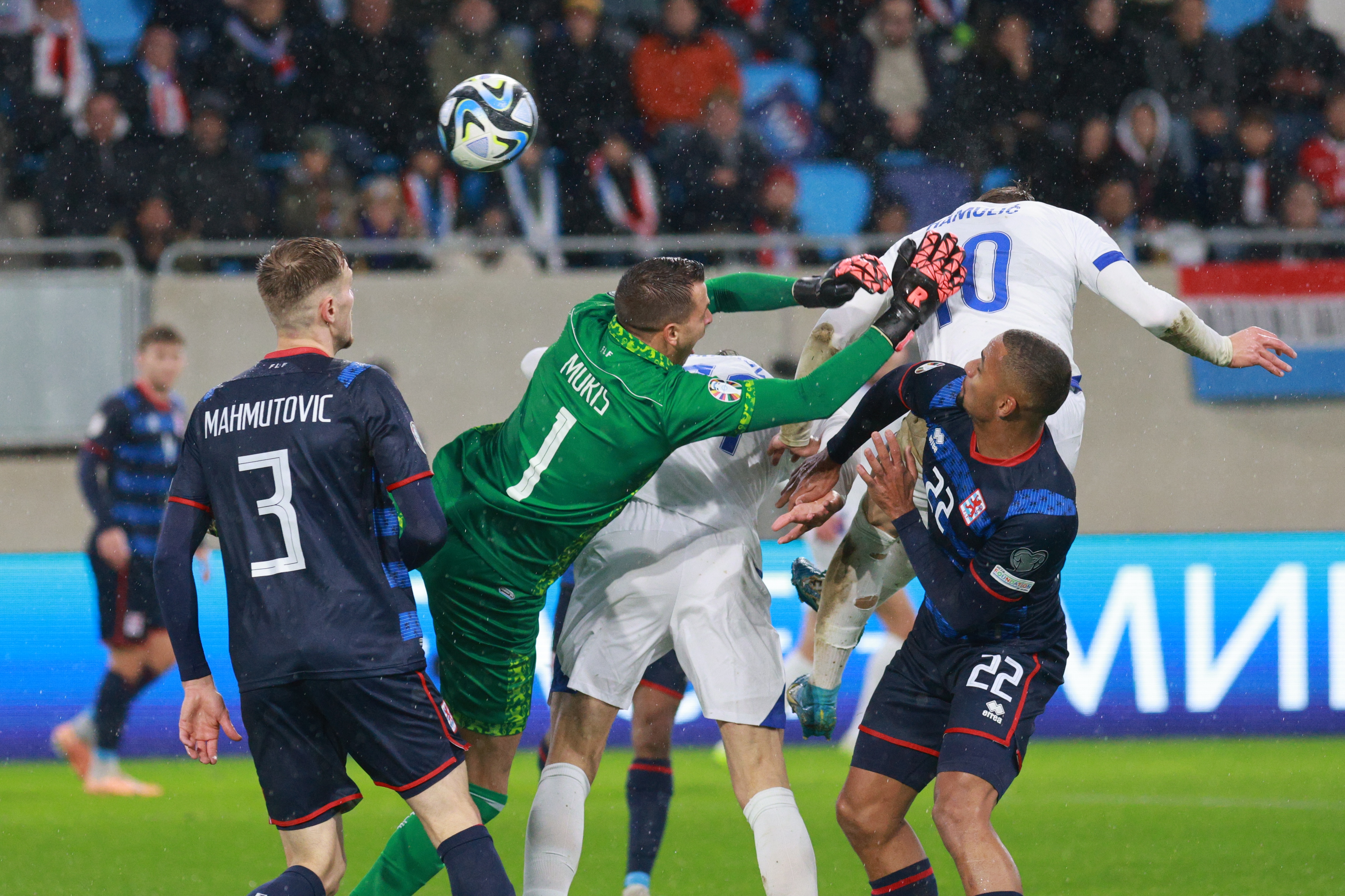 Nogometni savez Bosne i Hercegovine