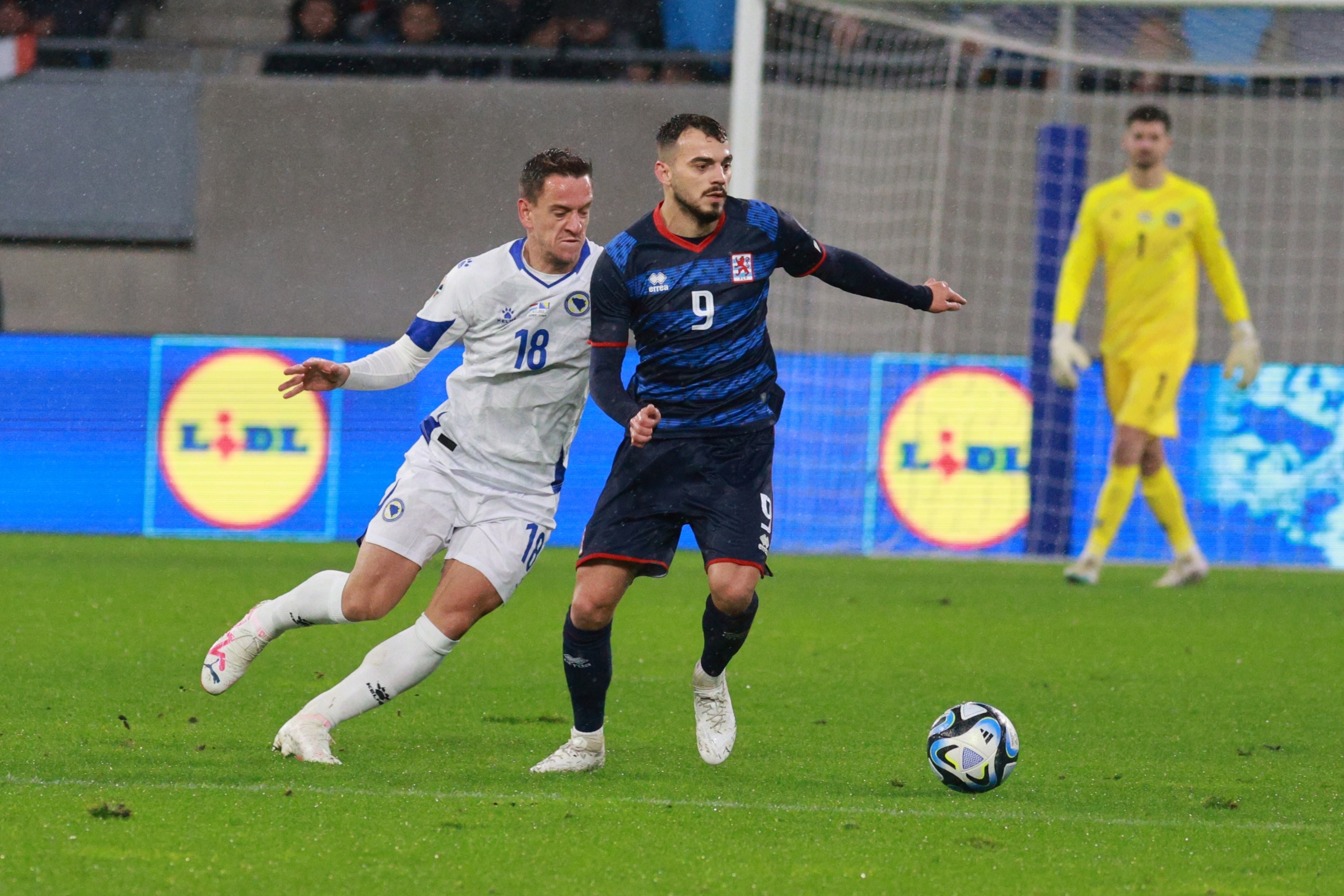 Nogometni savez Bosne i Hercegovine