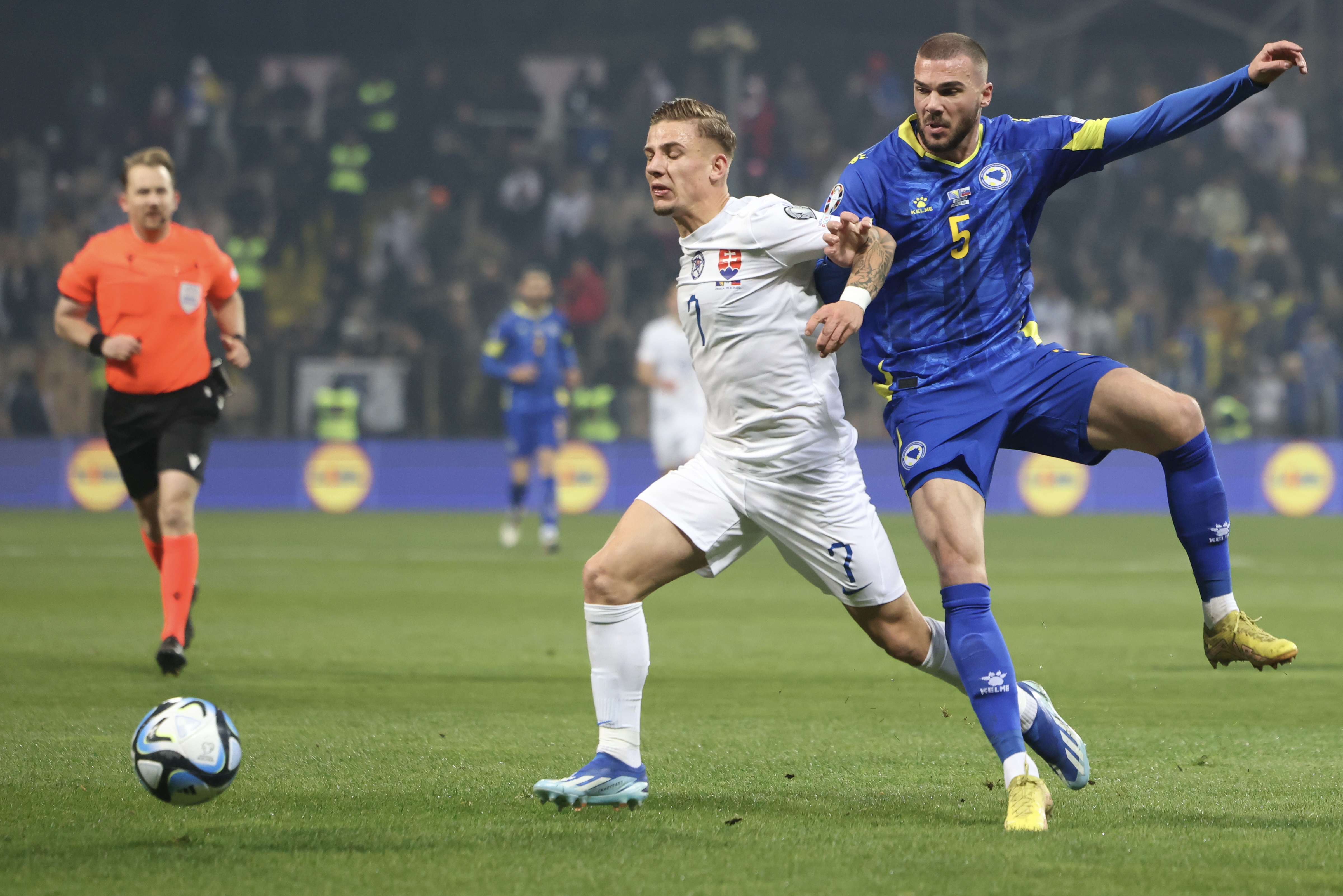 BIH SLOVAČKA MUJAKIC