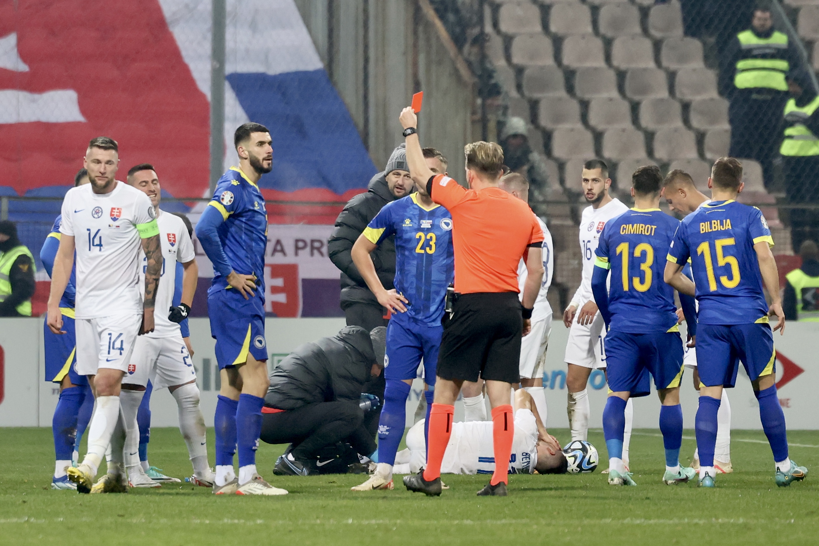 BIH SLOVAČKA GOJKOVIC