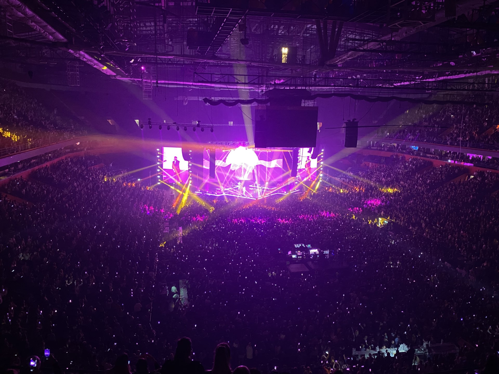 dino-merlin-arena-thumbnail_IMG_8967