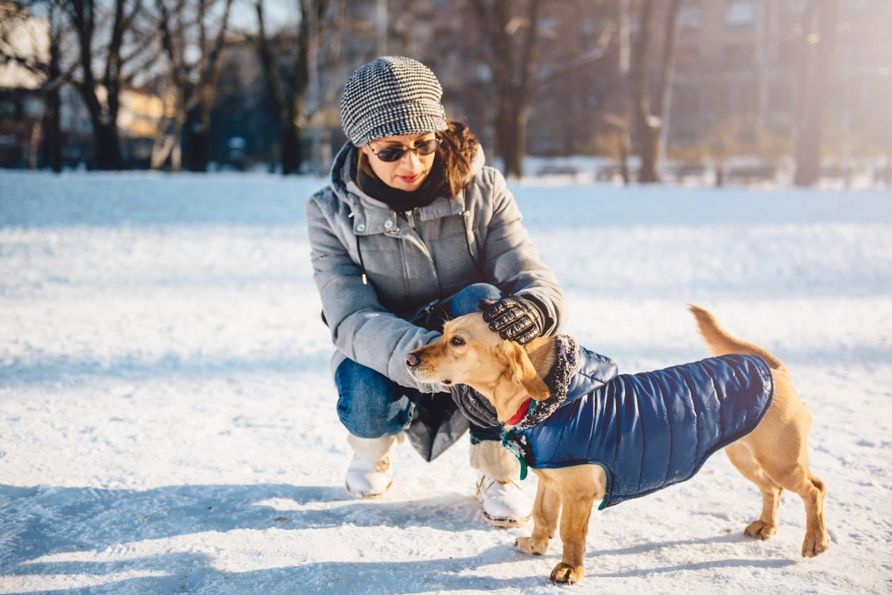 Woman Petting Her Dog wearing winter coat In Snow