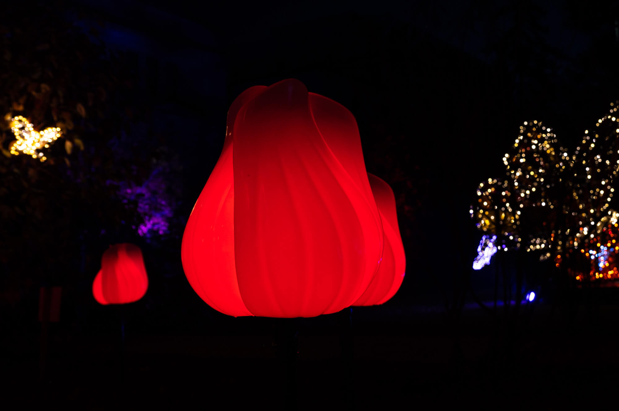 Festival svjetla Sarajevo (1)