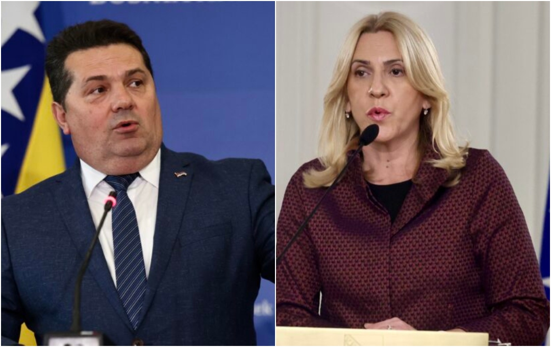 stevnadic cvijanovic