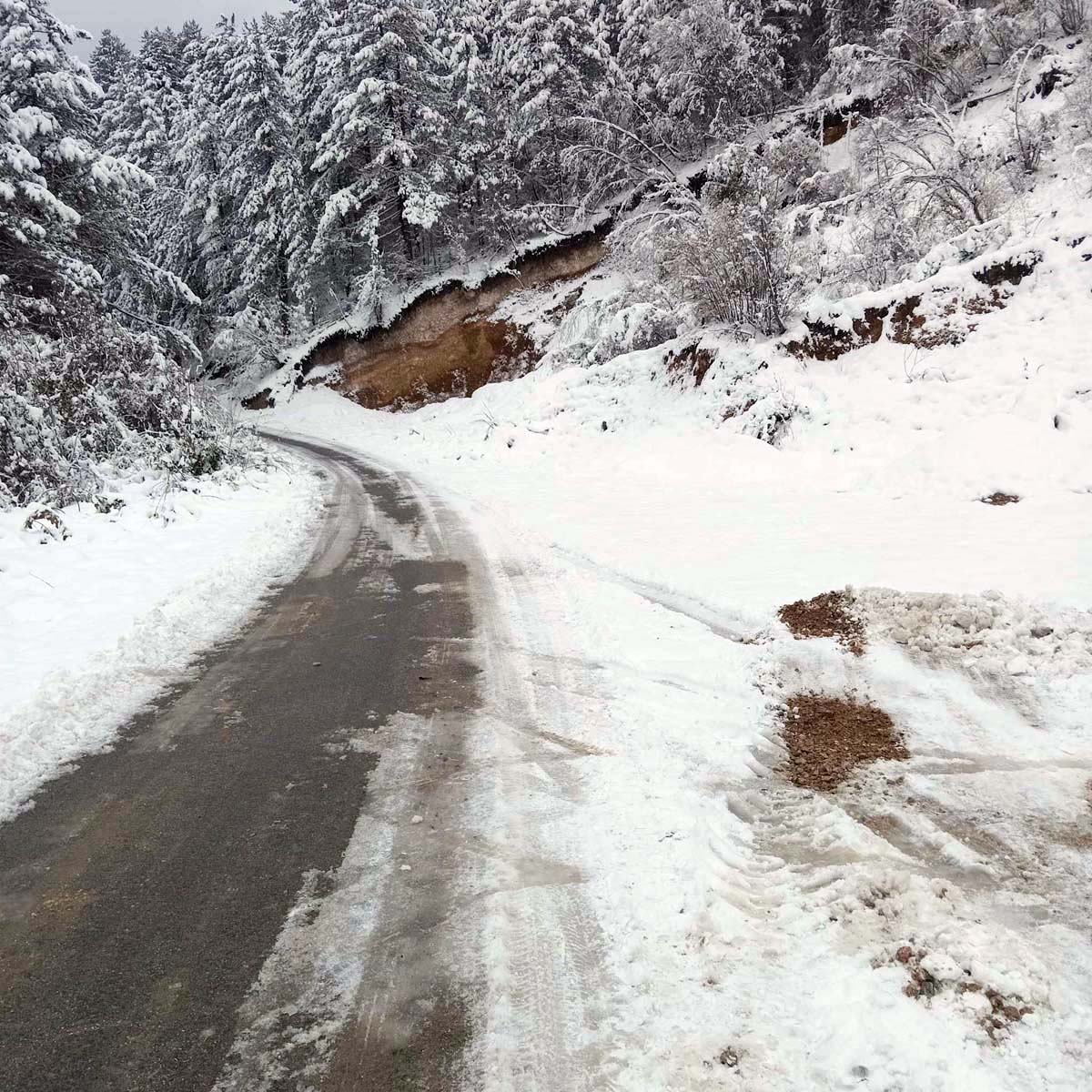 received_368945488998758