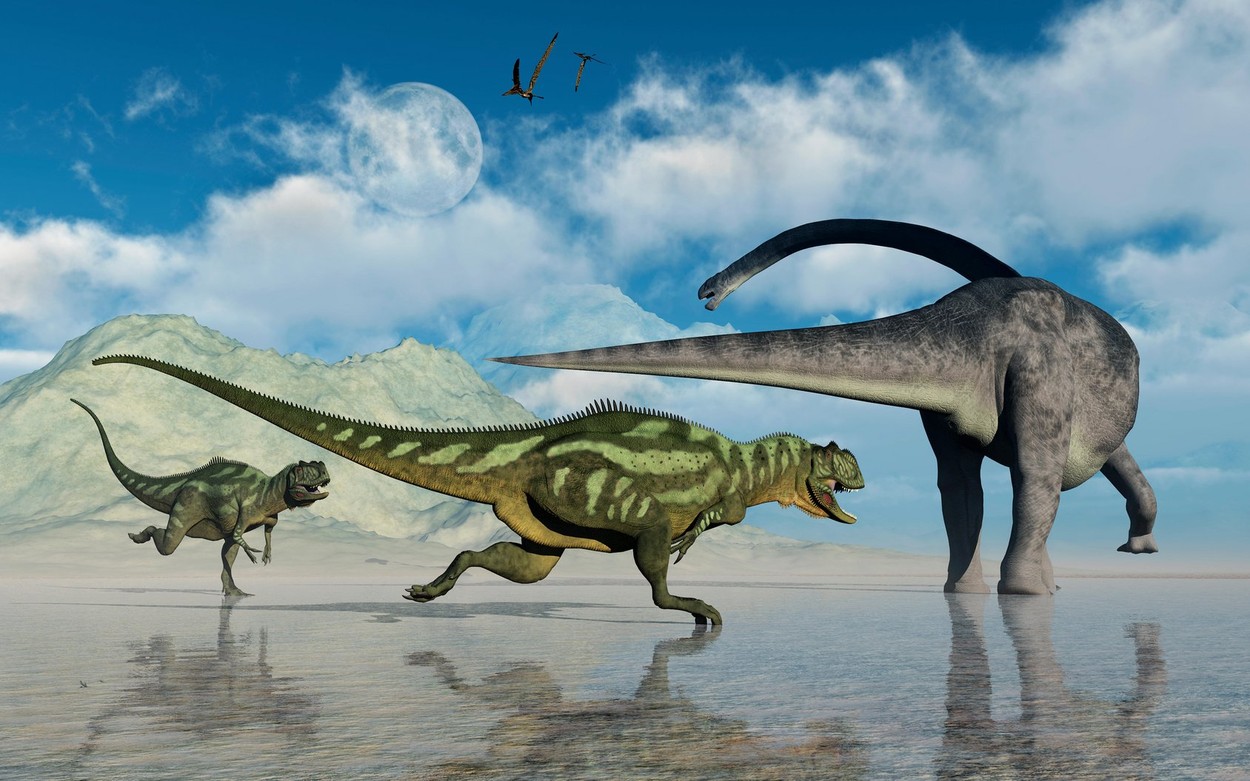 Omeisaurus &amp; A Yangchuanosaurus Dinosaurs.