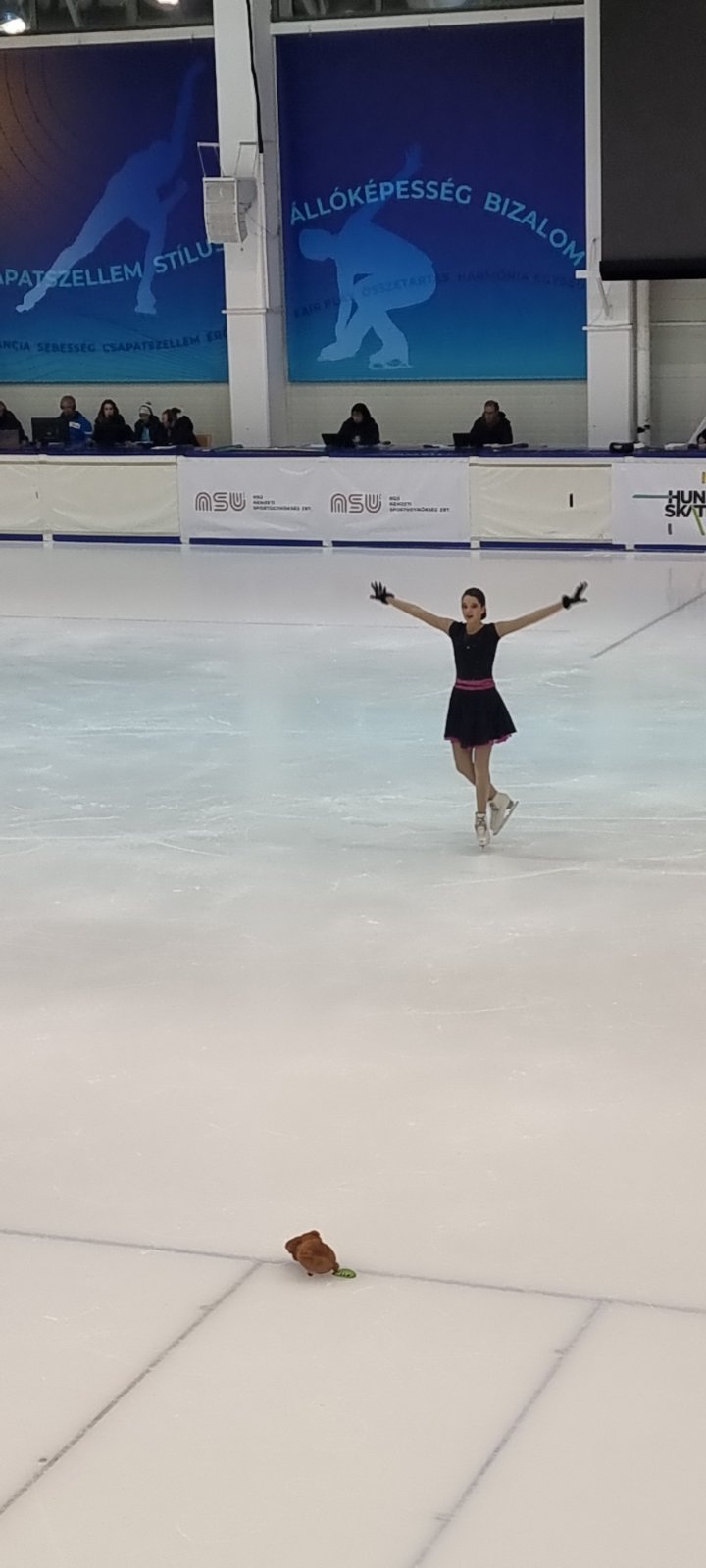 Savez klizačkih sportova Bosne i Hercegovine