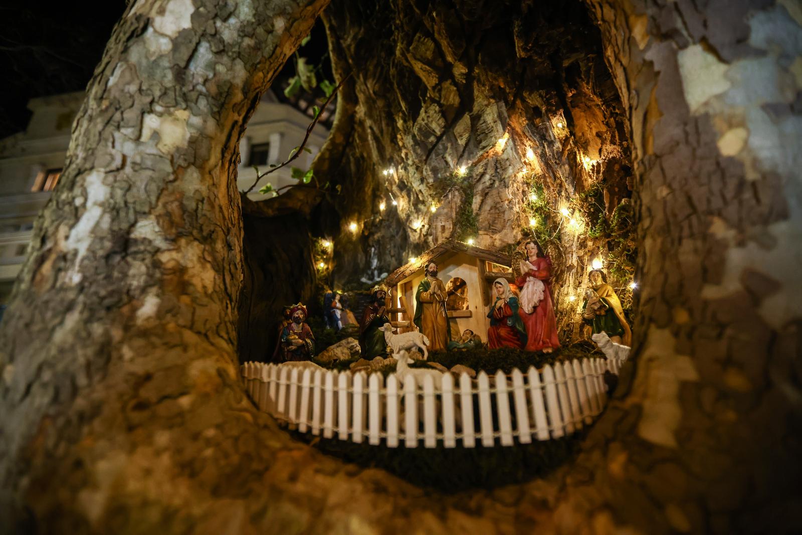 Mostar: Jaslice u drvetu na mostarskoj šetnici