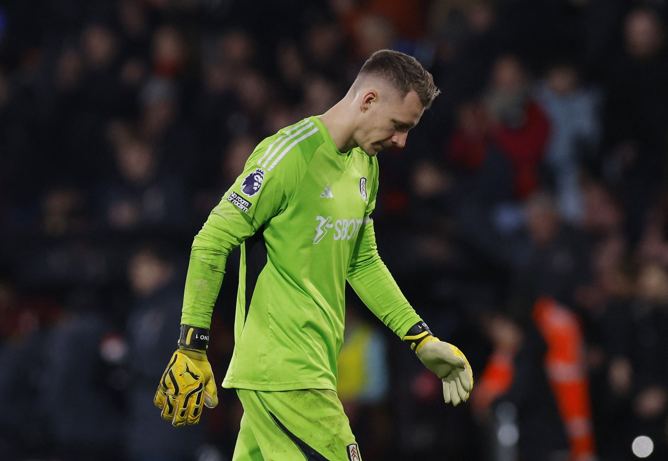 Premier League - AFC Bournemouth v Fulham