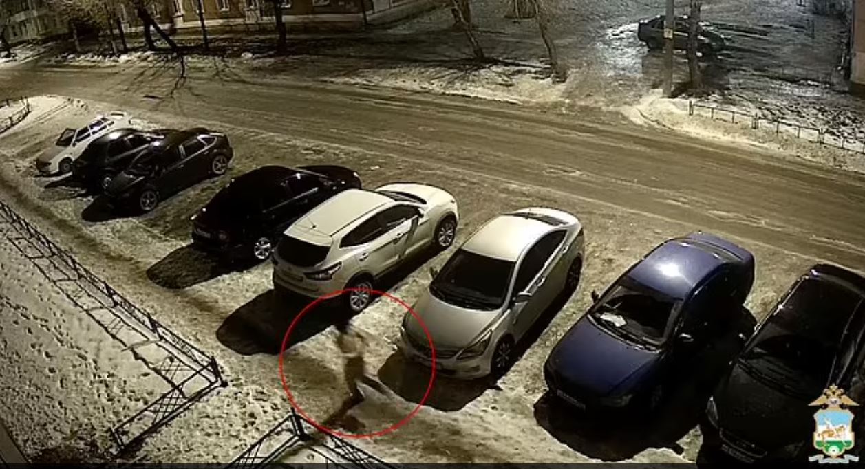 rusija djecak lisice ubistvo