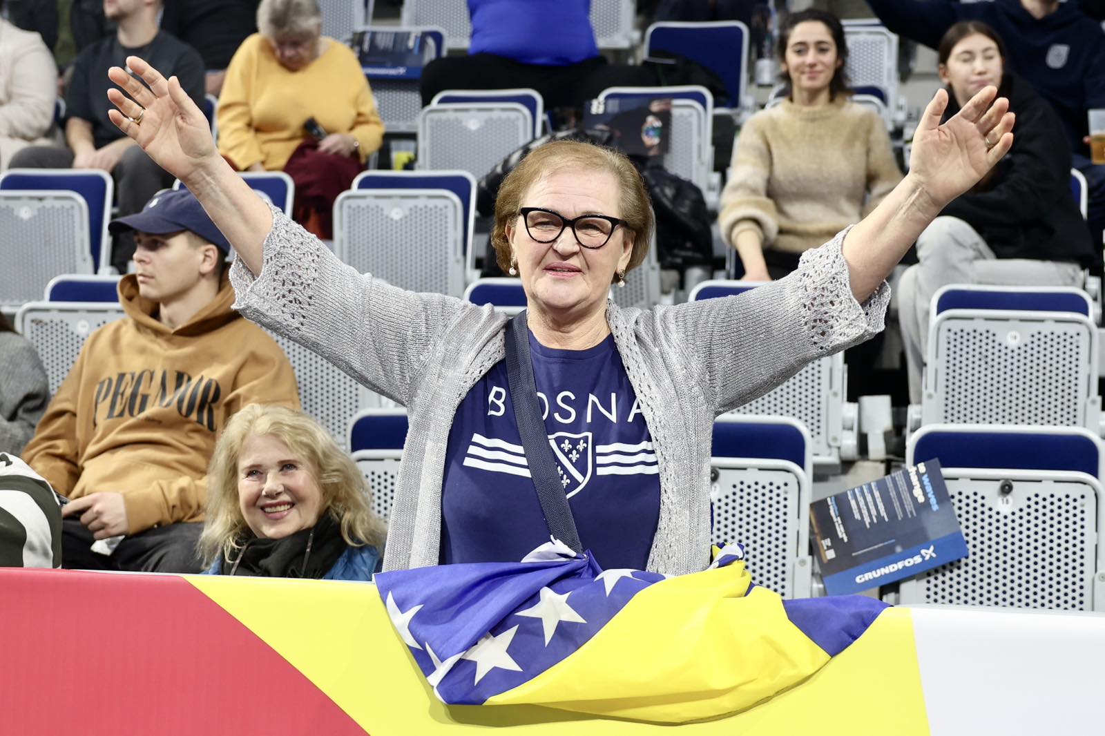 navijači bih rukomet manheim