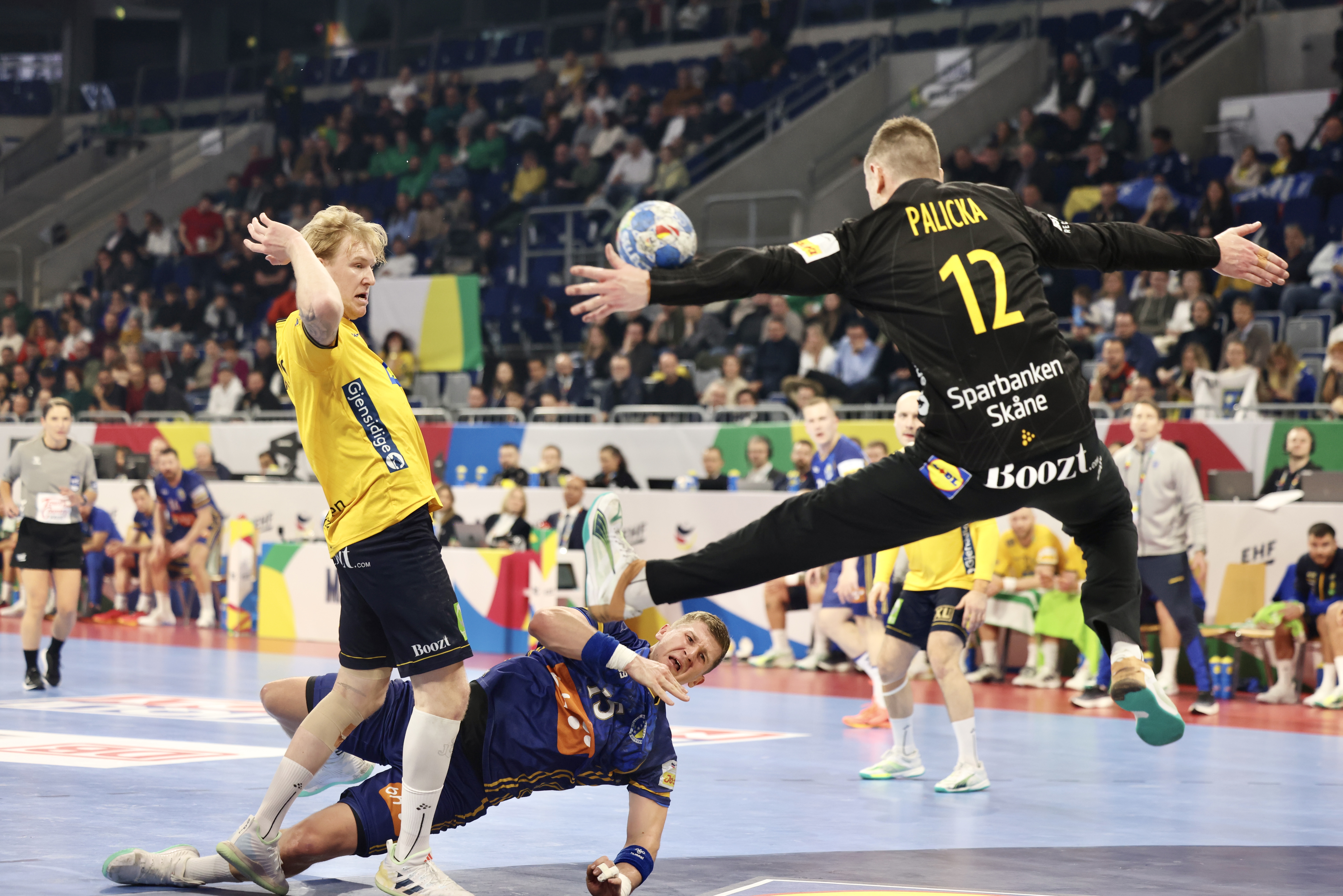 BiH Švedska rukomet