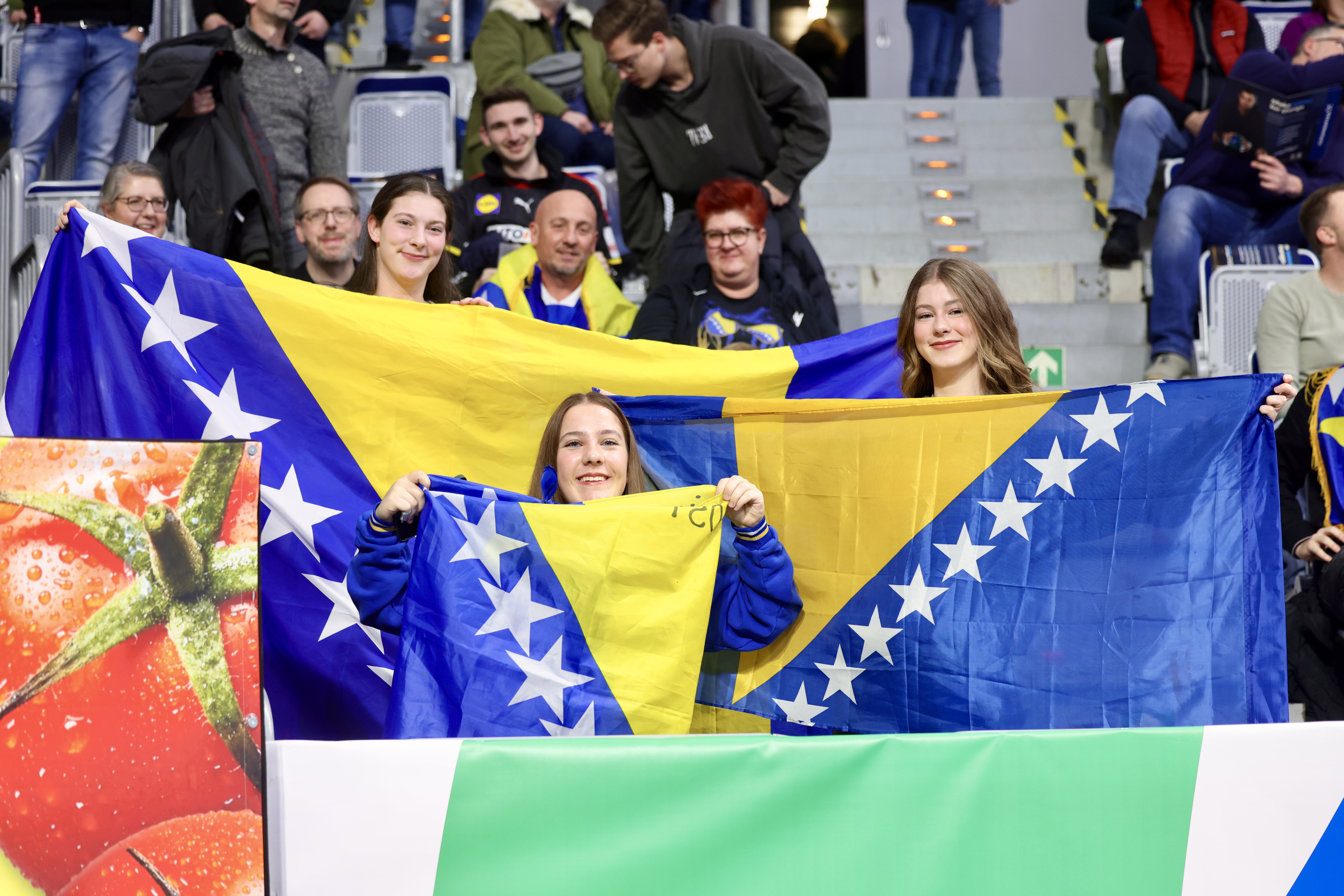 Bosna i Hercegovina Nizozemska Euro