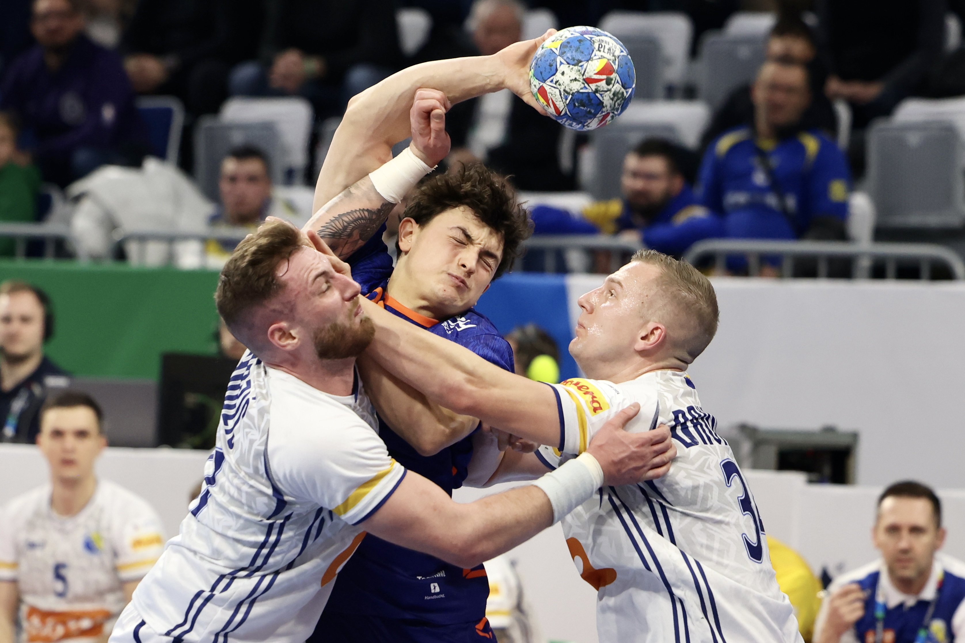 Bosna i Hercegovina Nizozemska Euro