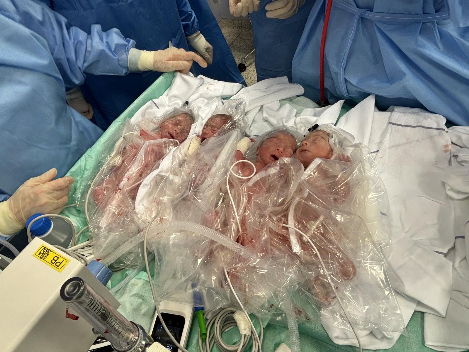 cetvorke-419871136_722295646702029_3395461657970189192_n