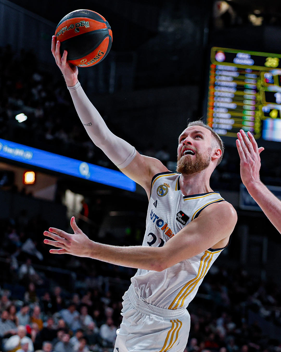 dzanan musa