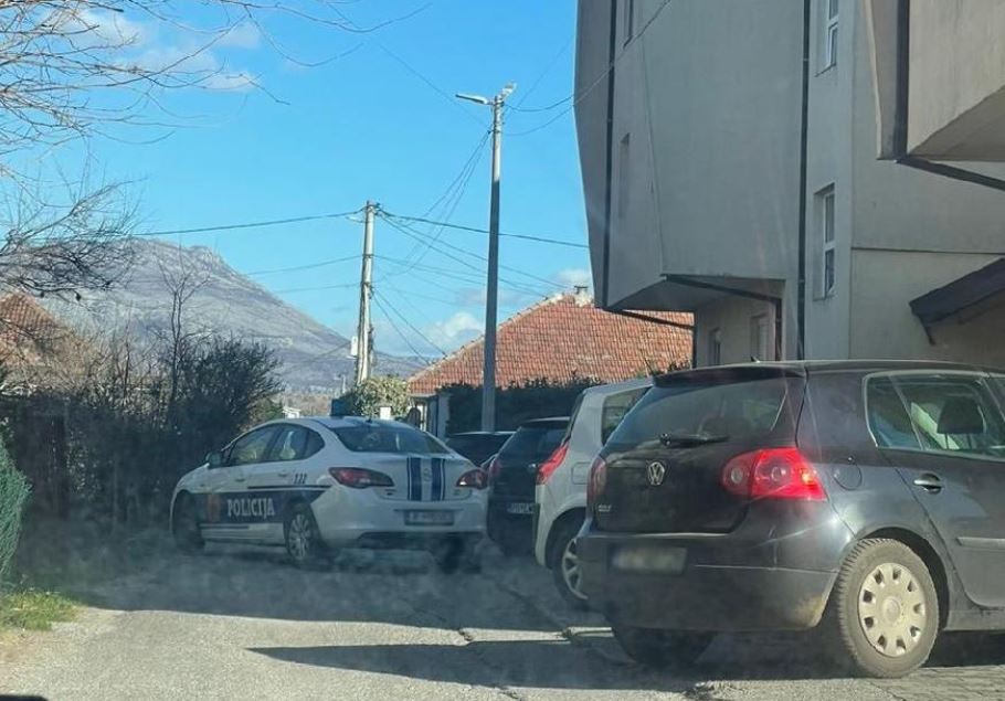 ubistvo porodice podogorica