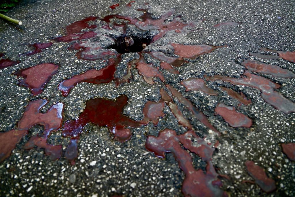 ee2a22d2-a56f-4319-b78f-6a481ba8b39b (1)