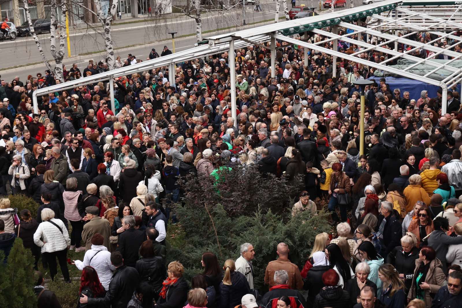 viber_image_2024-02-11_12-19-44-589