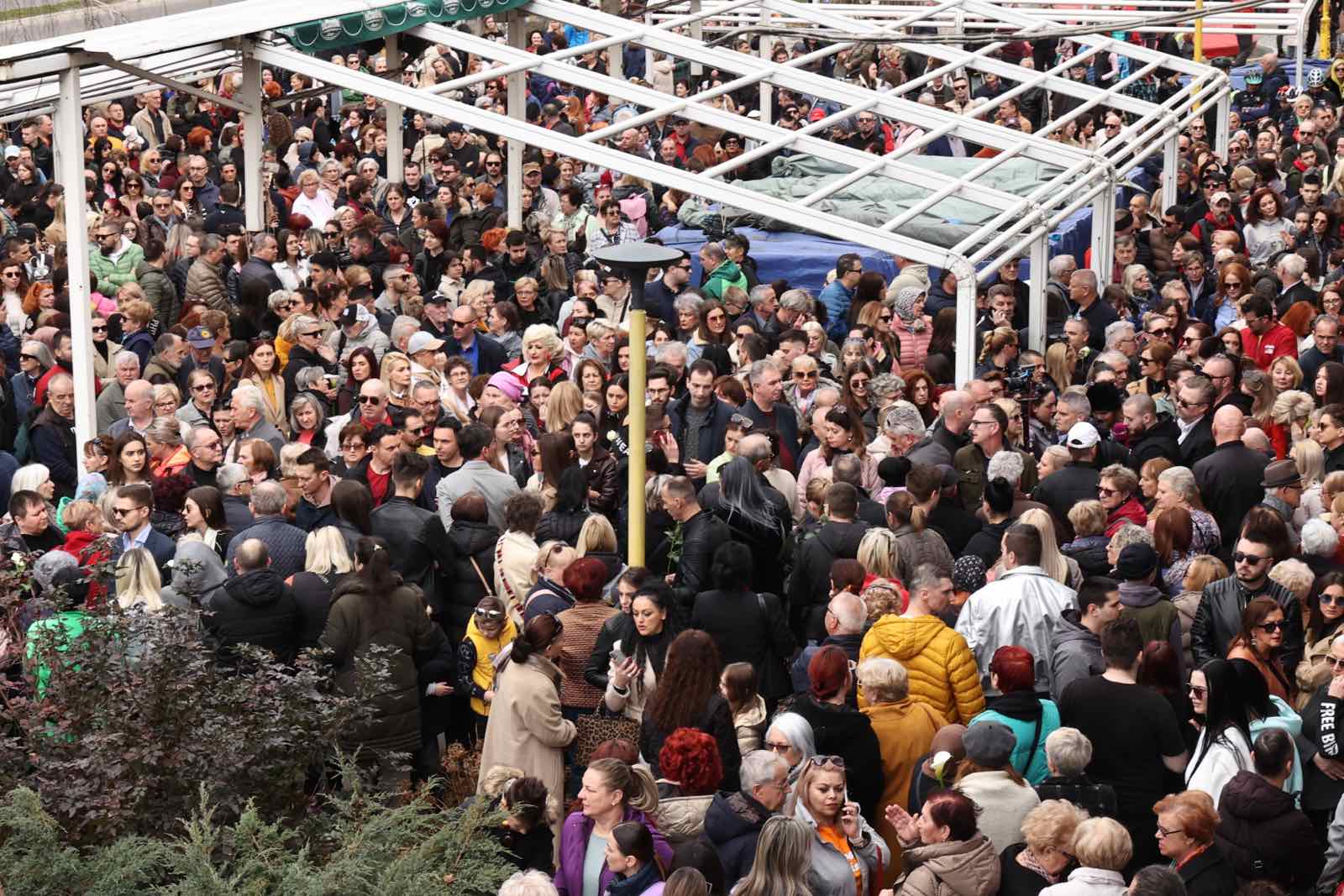 viber_image_2024-02-11_12-19-44-175